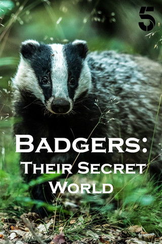 Escena 4 de Badgers: Their Secret World