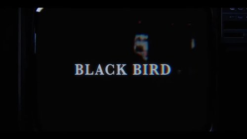 Black Bird