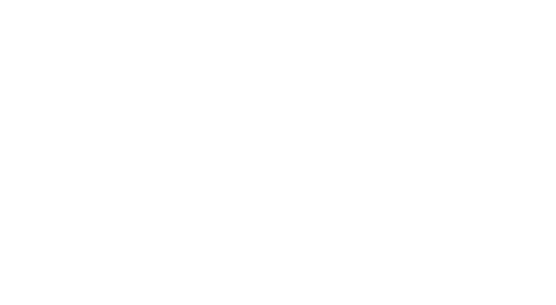 Sonic Christmas Blast
