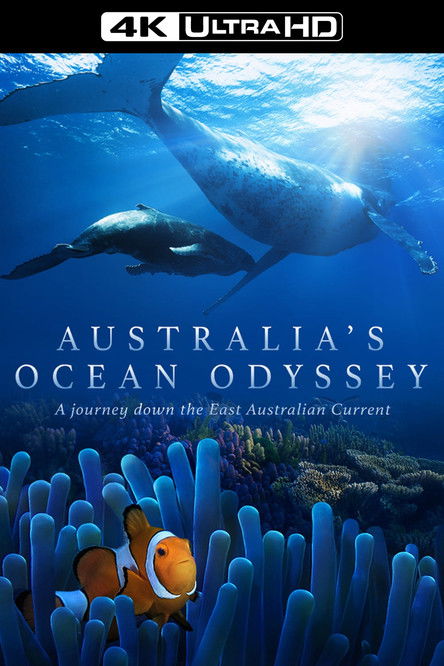 Escena 6 de Australia's Ocean Odyssey: A journey down the East Australian Current