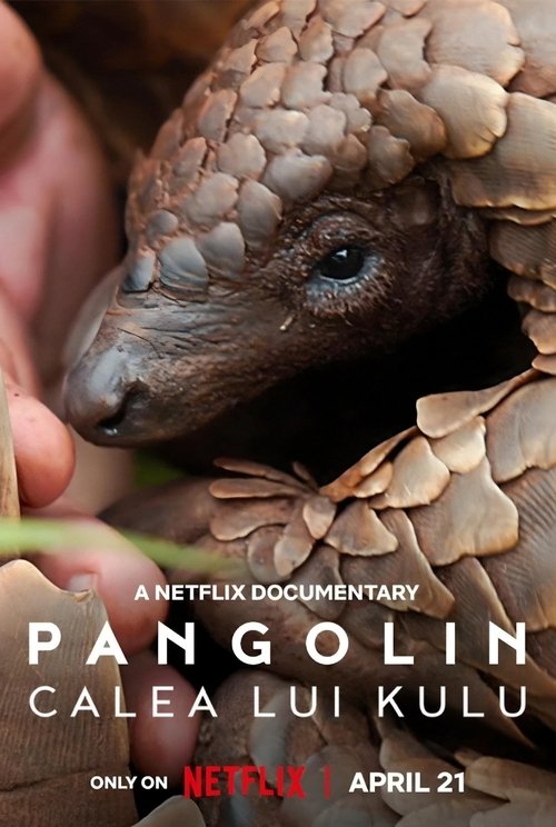 Poster pentru Pangolin: Calea lui Kulu