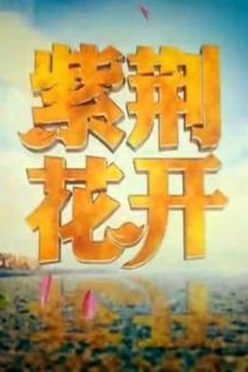 紫荆花开