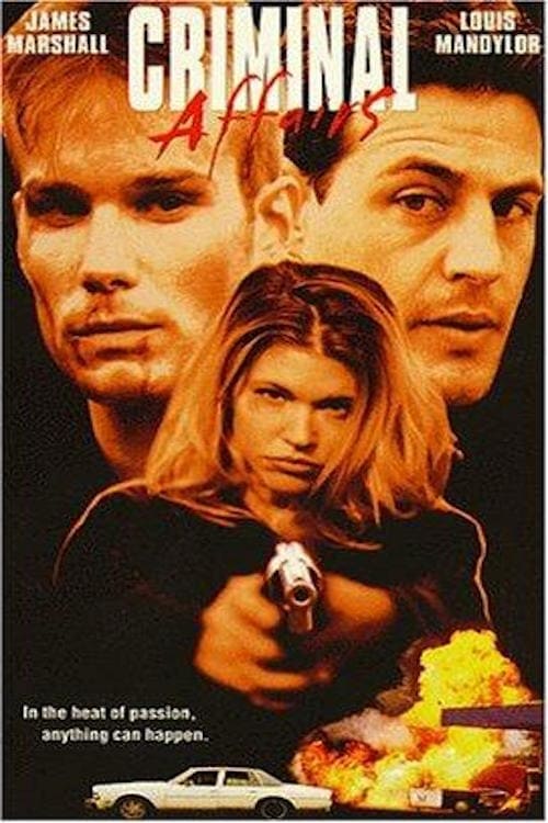 Criminal Affairs 1998