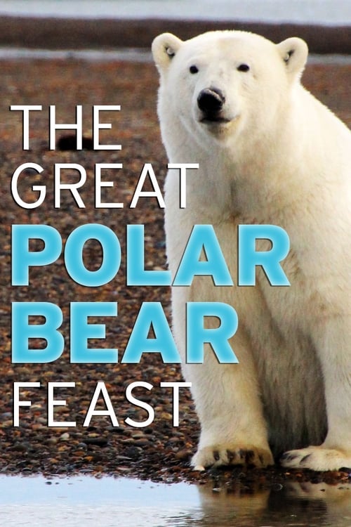 The Great Polar Bear Feast 2015