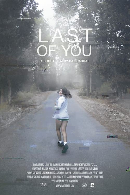 Poster Last of You 2013