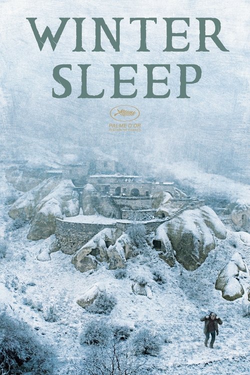 Winter Sleep poster