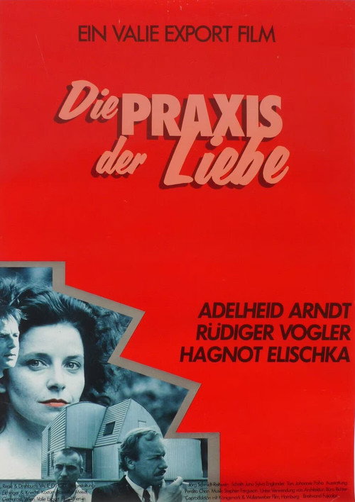 The Practice of Love poster