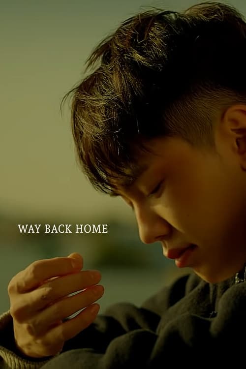 Way Back Home (2015)