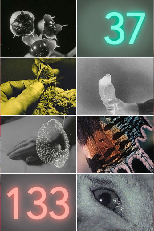 The Fluttering Being