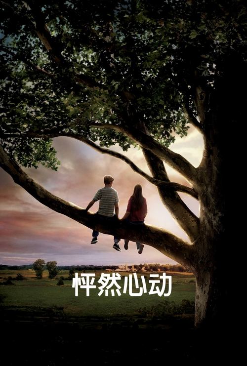 null 怦然心动 (2010) - Movie Banner