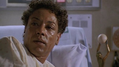 Image de l'épisode 14