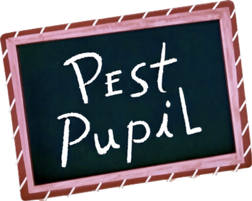 Pest Pupil