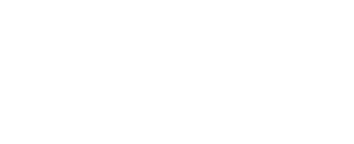 The Bisexual