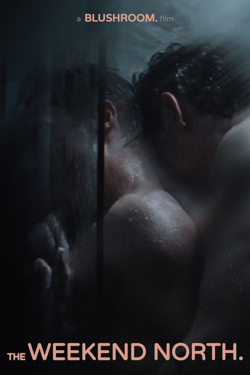 Cartell de The Weekend North