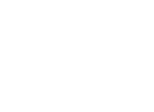 Ruben Brandt: A Gyűjtő