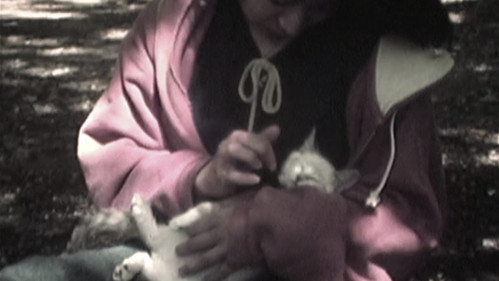 木陰にて・・・