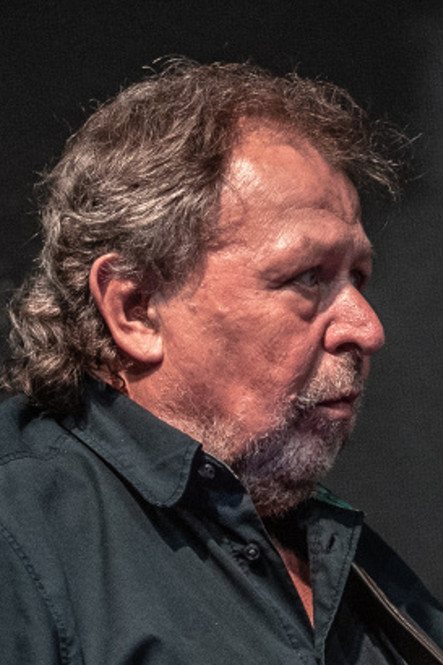 Pavel Fořt interpretando a Musician