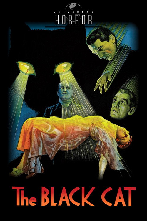 The Black Cat poster