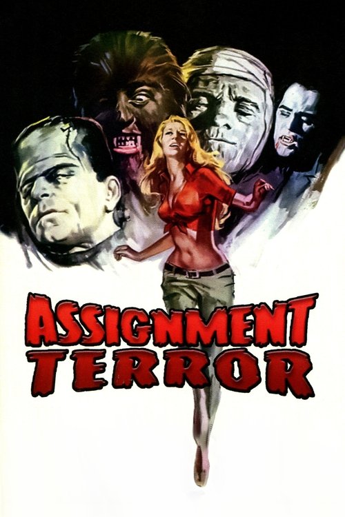 Assignment Terror poster