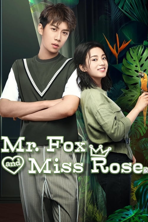 Mr. Fox & Miss Rose poster