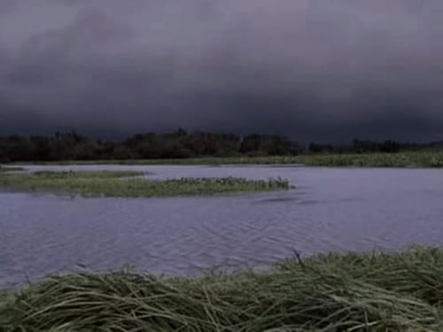 Poster della serie Swamp People