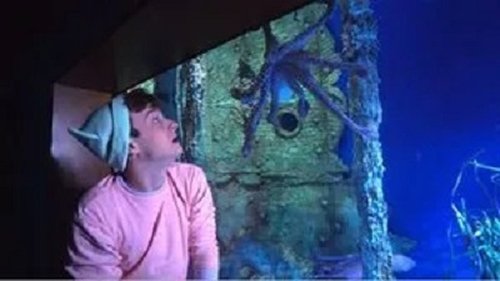 Image de l'épisode 20