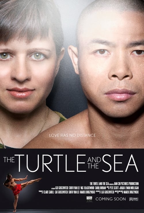 The Turtle And The Sea