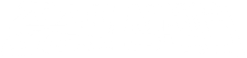중증외상센터