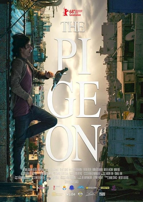 Free Watch Now The Pigeon (2018) Movie Solarmovie 720p Without Download Stream Online