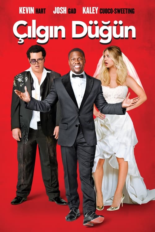 The Wedding Ringer (2015)