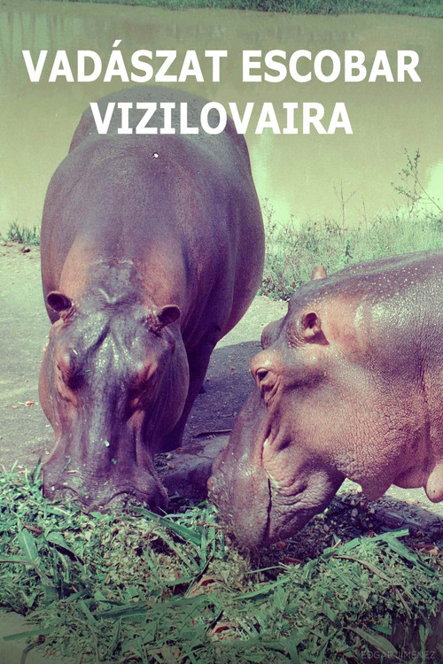 Vadászat Escobar vízilovaira filmplakátja