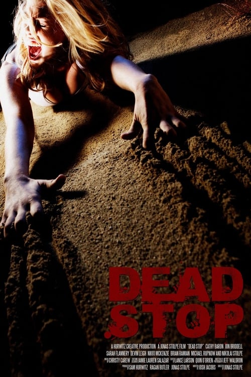 Dead Stop (2011) poster