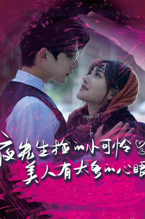 夜先生捡的小可怜美人有太多的心眼