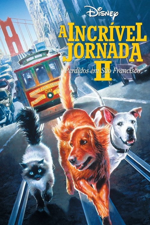 Poster do filme A Incrível Jornada II: Perdidos em São Francisco