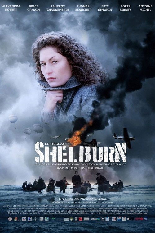 Affiche de Le réseau Shelburn