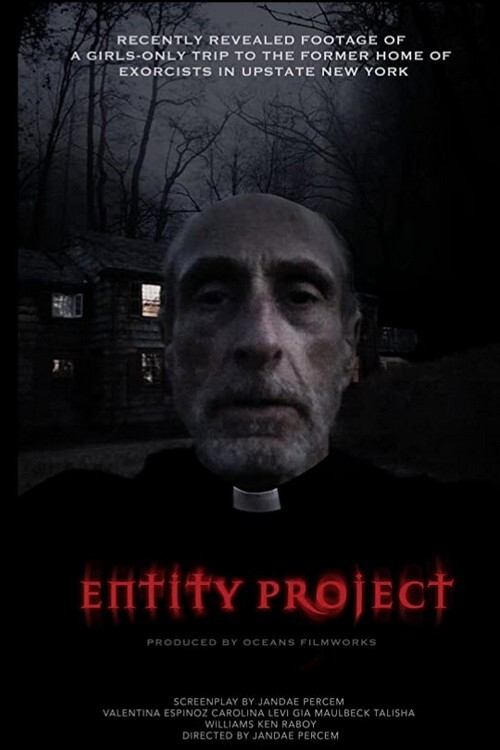 Entity Project poster