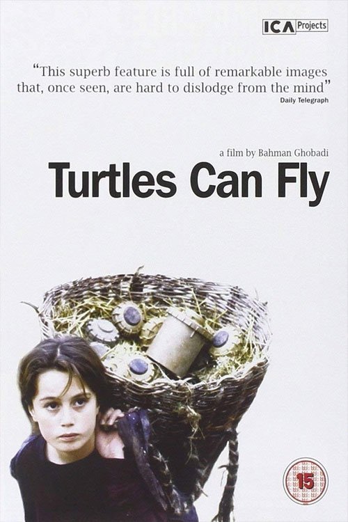 Largescale poster for Turtles Can Fly