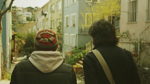 The Leaf Covered in Hoarfrost