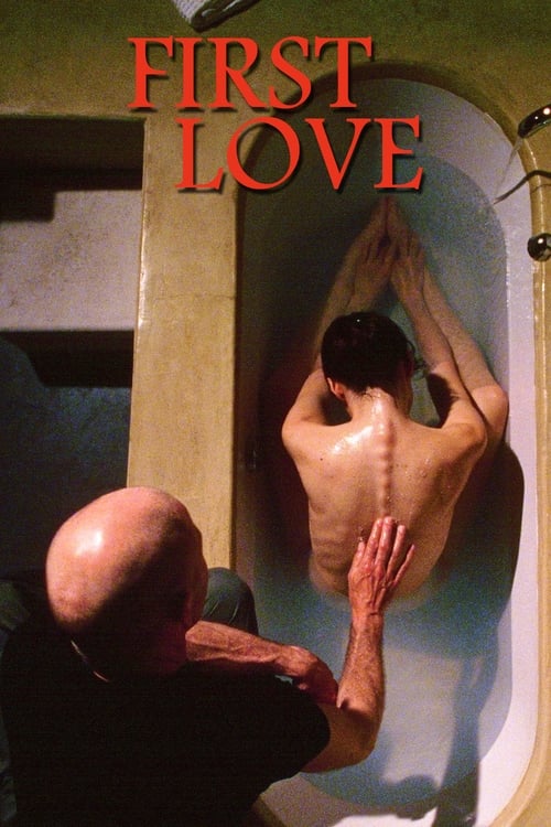 Poster Primo amore 2004