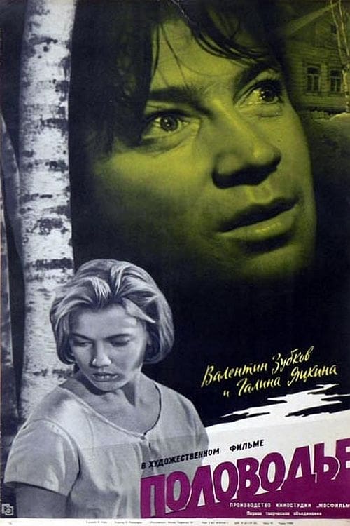 Половодье (1963) poster