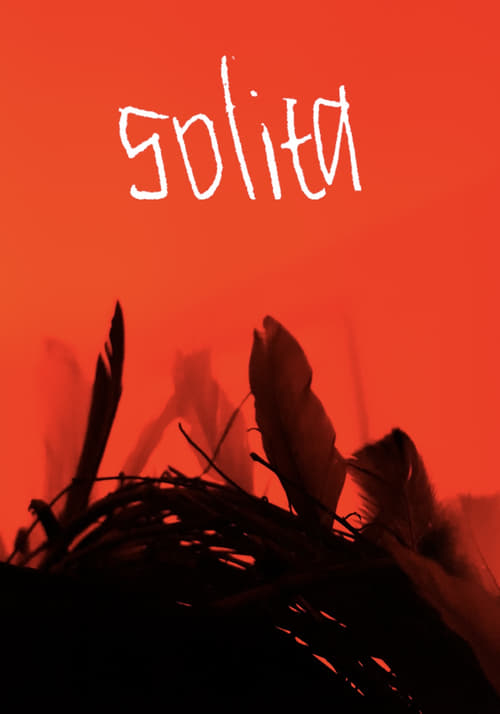 Poster Solita 2022