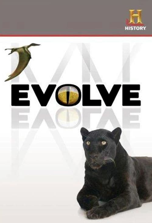 Poster Evolve