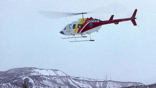 For Love of the Game