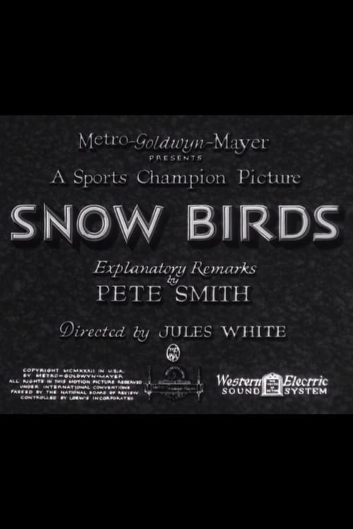 Snow Birds Movie Poster Image