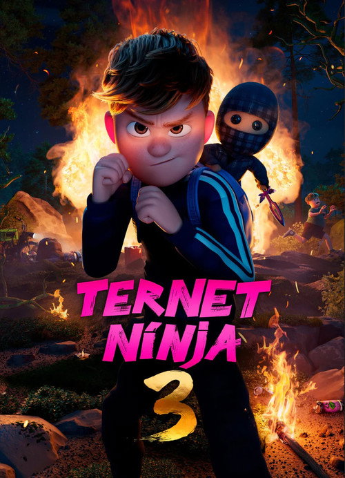 Checkered Ninja 3 poster