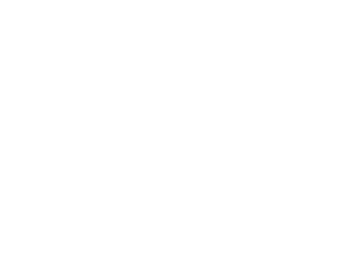 Bios. Vidas que marcaron la tuya: Os Paralamas do Sucesso