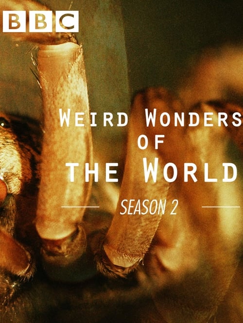 Where to stream Weird Wonders of the World Season 2