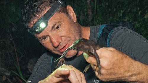 Image de l'épisode 8