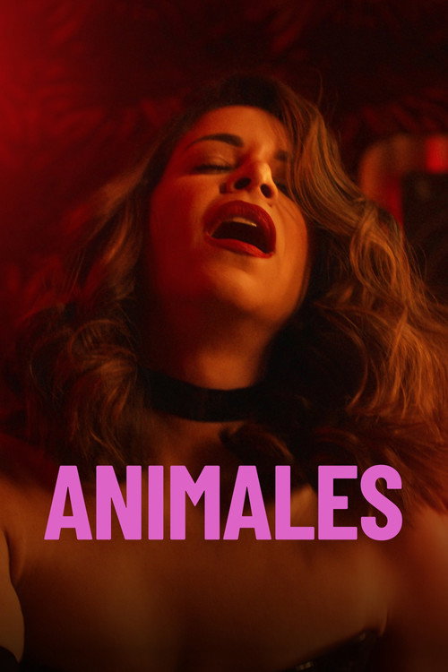 Animals