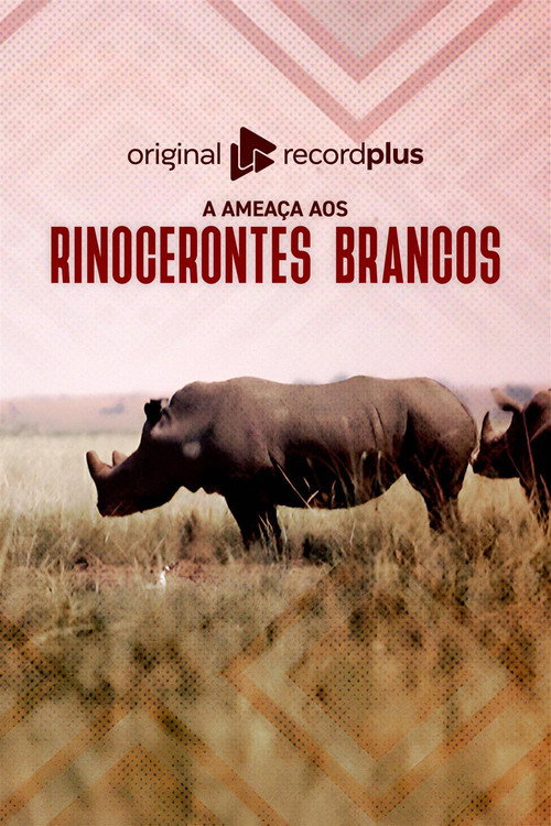 A Ameaça aos Rinocerontes Brancos